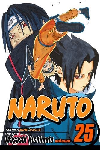 Naruto, Vol. 25